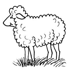 Раскраска: овца (Животные) #11412 - Бесплатные раскраски для печати