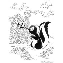 Раскраска: скунс (Животные) #11295 - Бесплатные раскраски для печати