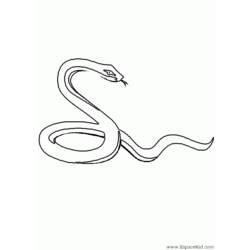 Раскраска: змея (Животные) #14365 - Бесплатные раскраски для печати