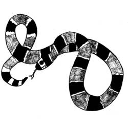 Раскраска: змея (Животные) #14426 - Бесплатные раскраски для печати