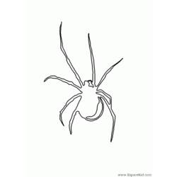 Раскраска: паук (Животные) #649 - Бесплатные раскраски для печати