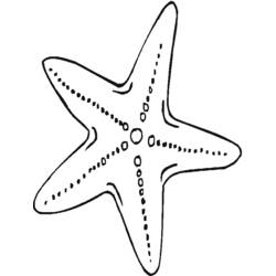 Раскраска: морская звезда (Животные) #6700 - Бесплатные раскраски для печати