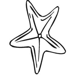 Раскраска: морская звезда (Животные) #6765 - Бесплатные раскраски для печати