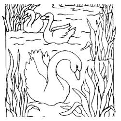 Раскраска: лебедь (Животные) #5037 - Бесплатные раскраски для печати