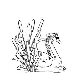 Раскраска: лебедь (Животные) #5038 - Бесплатные раскраски для печати