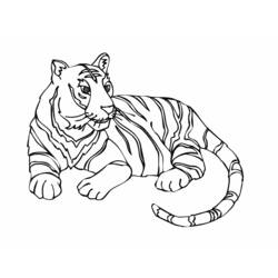 Раскраска: Tigris (Животные) #13604 - Бесплатные раскраски для печати