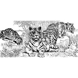 Раскраска: Tigris (Животные) #13691 - Бесплатные раскраски для печати