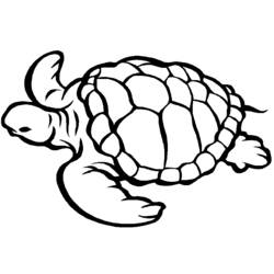 Раскраска: черепаха (Животные) #13390 - Бесплатные раскраски для печати