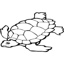 Раскраска: черепаха (Животные) #13396 - Бесплатные раскраски для печати