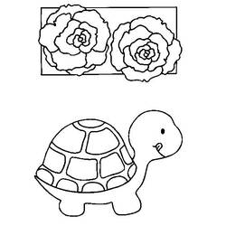 Раскраска: черепаха (Животные) #13402 - Бесплатные раскраски для печати
