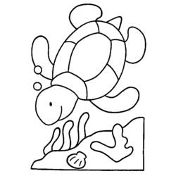 Раскраска: черепаха (Животные) #13415 - Бесплатные раскраски для печати