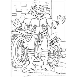 Раскраска: черепаха (Животные) #13475 - Бесплатные раскраски для печати