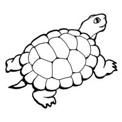 Раскраска: черепаха (Животные) #13514 - Бесплатные раскраски для печати