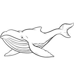 Раскраска: кит (Животные) #865 - Бесплатные раскраски для печати