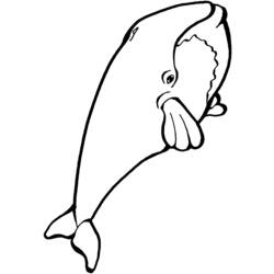 Раскраска: кит (Животные) #880 - Бесплатные раскраски для печати