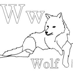 Раскраска: волк (Животные) #10524 - Бесплатные раскраски для печати