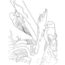 Раскраска: Зеленый пик (Животные) #16681 - Бесплатные раскраски для печати