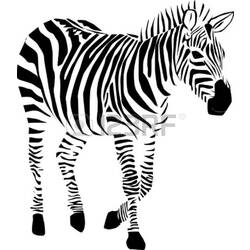 Раскраска: зебра (Животные) #12957 - Бесплатные раскраски для печати