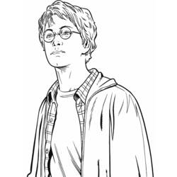 Раскраска: Гарри Поттер (кино) #69585 - Бесплатные раскраски для печати