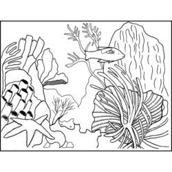 Раскраска: коралловый (природа) #162899 - Бесплатные раскраски для печати
