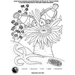 Раскраска: коралловый (природа) #162901 - Бесплатные раскраски для печати