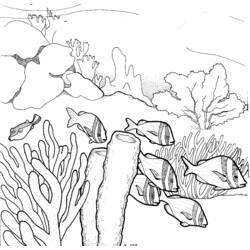 Раскраска: коралловый (природа) #162958 - Бесплатные раскраски для печати
