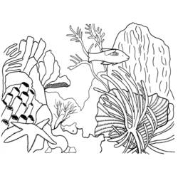 Раскраска: коралловый (природа) #163034 - Бесплатные раскраски для печати