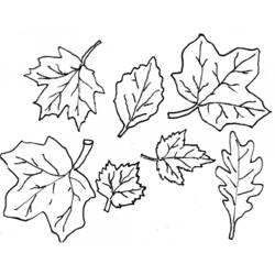 Раскраска: Осенний сезон (природа) #164059 - Бесплатные раскраски для печати