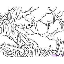 Раскраска: лес (природа) #157202 - Бесплатные раскраски для печати