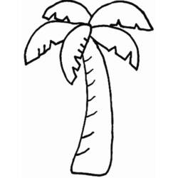 Раскраска: пальма (природа) #161127 - Бесплатные раскраски для печати