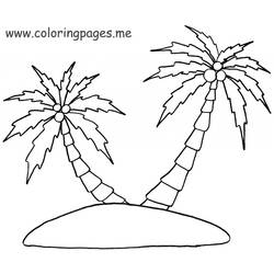 Раскраска: пальма (природа) #161278 - Бесплатные раскраски для печати