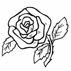 Раскраска: розы (природа) #161870 - Бесплатные раскраски для печати