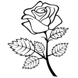 Раскраска: розы (природа) #161909 - Бесплатные раскраски для печати